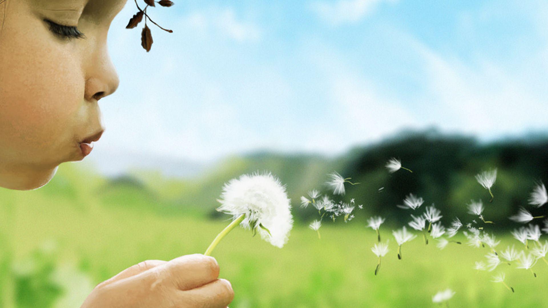 child-girl-blowing-dandelion-taraxacum-flower